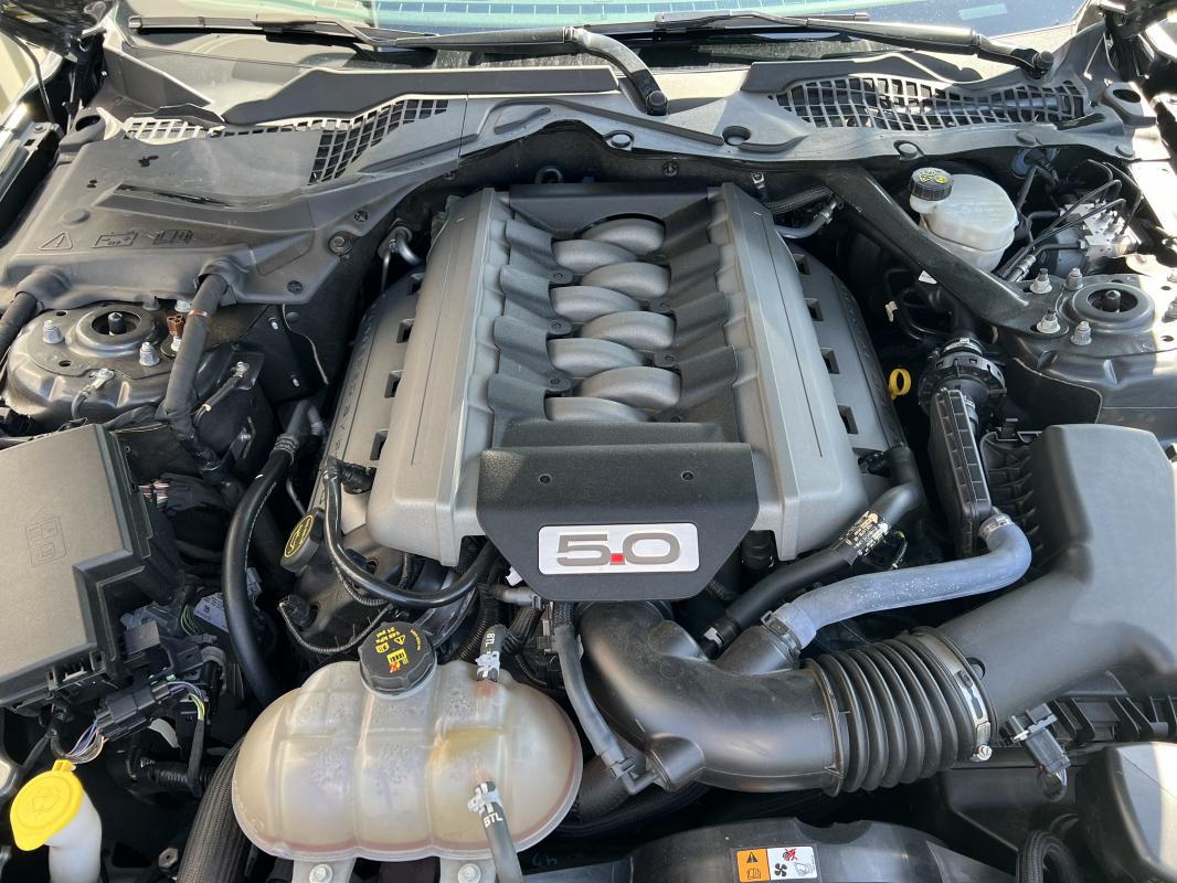 Ford Mustang — photo 13 sur 14