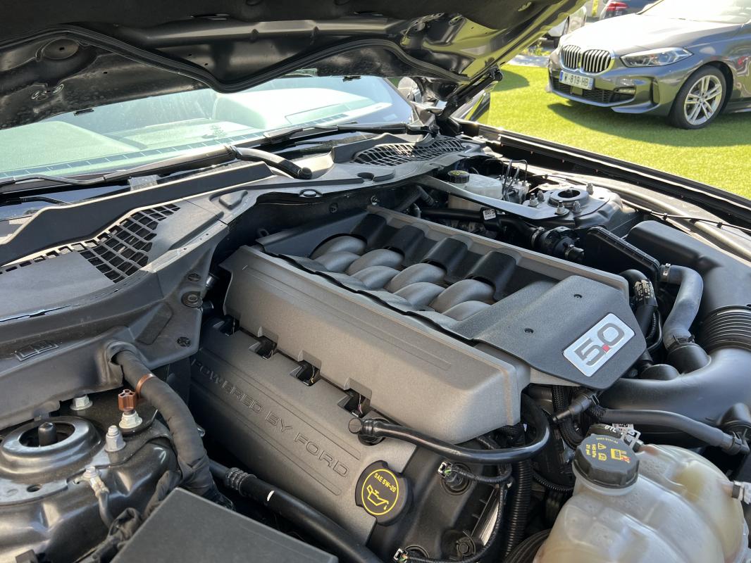 Ford Mustang — photo 14 sur 14