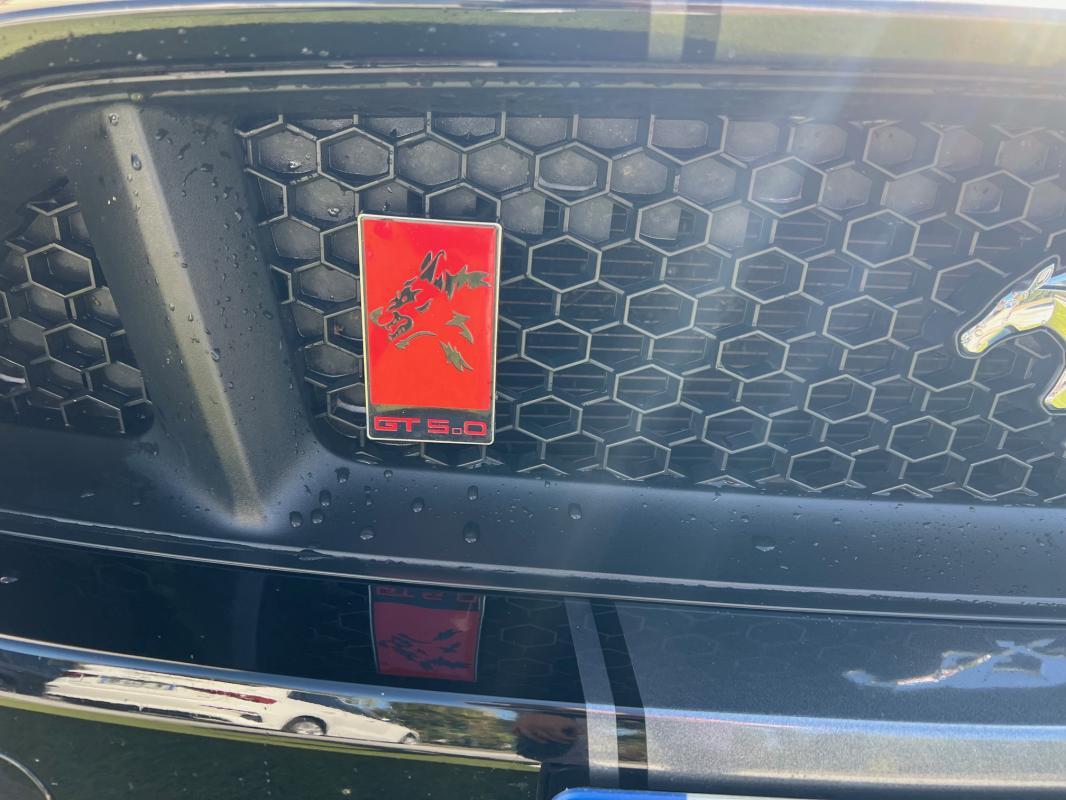 Ford Mustang — photo 2 sur 9